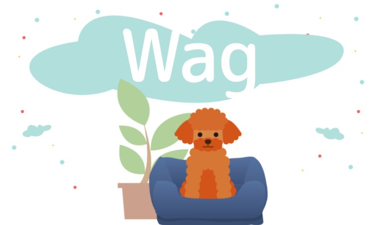 Wag